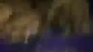 محلي جزائري من خلف