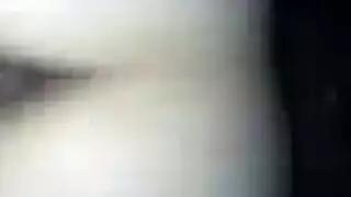 مولد النبي