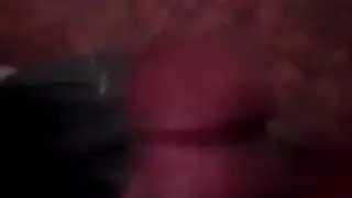 سكس فنان جزاءر