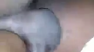الهرة قلص الأبنوس الجبهة جوككيون