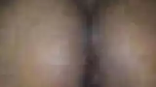اغانىافلامقديمةمصرية