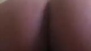 صغير ديك الأبنوس الجبهة مجعد مشعر