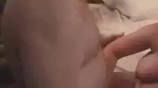 سوري كسكس