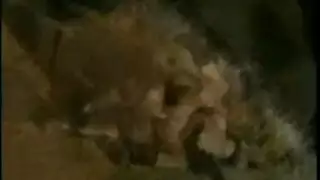 تّشٍغٌلَ أّلَفِّدِيِّةّ