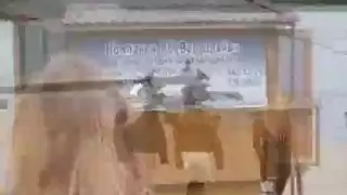 راجلناك راجل