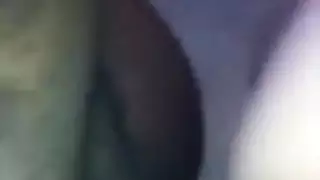 فتيات مكتنزات وحصان في سكس عنيف