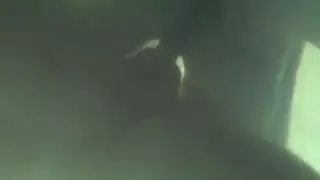 هانتي بدون حجب