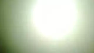 اوستن تايلور