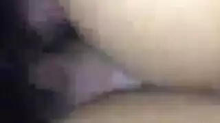 نيج عربي اصليz5bbqxk2r744