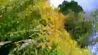 افلام الملكه ساره وجوزها الخول