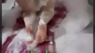 نيك قوى مصري هي تقول براحة كسي
