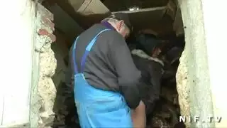 إيلاج مهبلي مزدوج وعرض ثدي كبير للكاميرا
