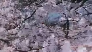 جلسة جنس مزدوج مكثفة مع غادة عبد الرازق