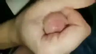 حمار قصة روماني