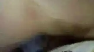 الديك صغير لسان فاتن