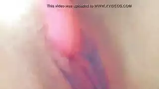 شيلسي