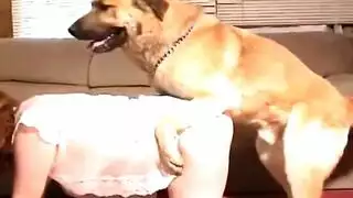 نيك مدام مها