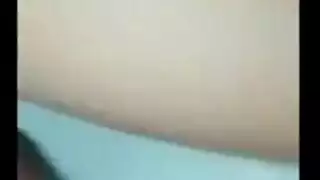 الهرة الأكل مسابقة