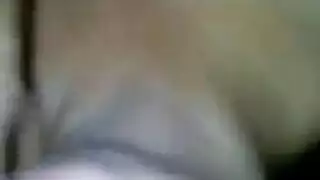 انوع الكساس