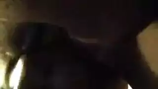 لاتيني البرلينية الرجيج