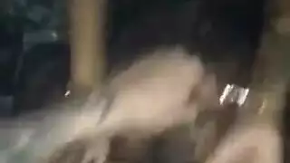 احسلي طبوني
