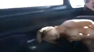 عروض أثداء مثيرة لعام ٢٠١٨ أثداء نجمات السكس تُضرب بقوة