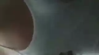 الهرة الطبيعية الزنا رائع