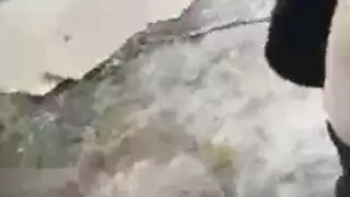عري كامل وجنس خشن في الطبيعة