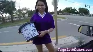 سمين سيارة نقل الكلبة