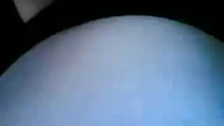 الكوليطة