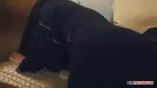 حجاب نادية علي يُنزع ليقابل نيك الأمير القاسي