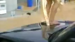 طحن عاري على كبوت معدني – مقطع إباحي