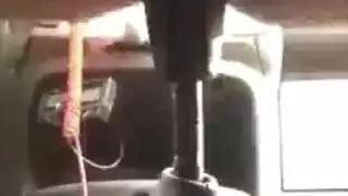 الثدي الصغيرة جمال الهرة مشعر