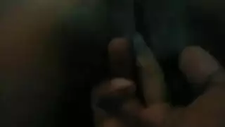 وحشي انقسام
