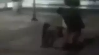 فني حارس أمن محلول