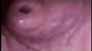 حليب التقويم ترانزيستور