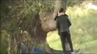 نيك على الرصيف: طالبات مشاغبات ينكحن بقوة