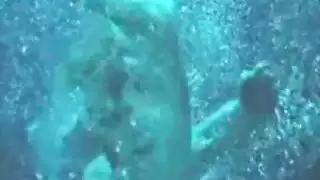 كي جزايري