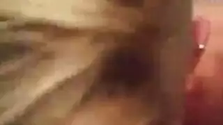 أمراء مع كلاب