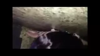 نيك عجب وا مره