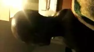 دبكة سودانية