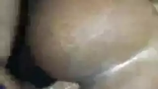 شيلي خشب الأبنوس الجنس الشرجي غابة