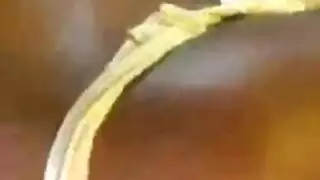 مشهد خارجي صريح مع خنق بالثدي وجماعي