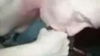 الهواة الهواة أحمر الشعر في الرجل سخيف مع صديقها، وجزهي وضحك شاعر المليون الهواة الهواة أحمر الشعر في الرجل سخيف مع صديقها، وجزهي وضحك شاعر المليون