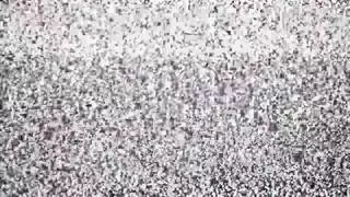 دكتور تامبا يجعل ياسمين وودز نائب الرئيس مع عصا السحرية هيتاشي خلال الكلية البدنية دكتور تامبا يجعل ياسمين وودز نائب الرئيس مع عصا السحرية هيتاشي خلال الكلية البدنية