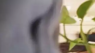 تتمتع أمي المشاغب في كل لحظة لديها مع رجل متزوج من خطوة ابنها. تتمتع أمي المشاغب في كل لحظة لديها مع رجل متزوج من خطوة ابنها.