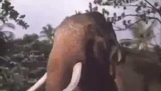 كاثي تحطيم امرأة شقراء تحب اللعب مع صخرة الصعب الديك في كل وقت. كاثي تحطيم امرأة شقراء تحب اللعب مع صخرة الصعب الديك في كل وقت.