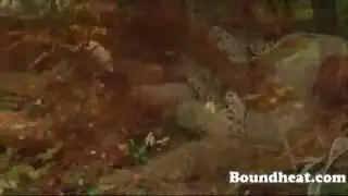 جلد العبد مثير متعة على شرفة