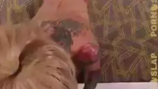 الأمام من جبهة مورو وشم في الكعب العالي، نزلت جينا فالنتينا وقذرة مع رجل أسود الأمام من جبهة مورو وشم في الكعب العالي، نزلت جينا فالنتينا وقذرة مع رجل أسود
