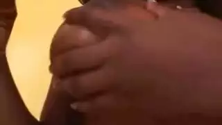 جبهة مورو للهواة يحصل على الديك الأبيض الكبير جبهة مورو للهواة يحصل على الديك الأبيض الكبير